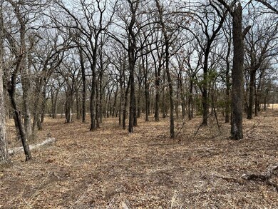 612 Roy Coffee Ct, Weatherford, TX 76087 - photo 4