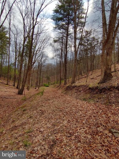 0 Horn Camp Rd unit WVHS115546, Rio, WV 26755 - photo 2