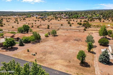 7019StagecoachPass-ShowLow-AZ-3