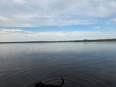 Lot 2 Townline Rock Rd, Island Falls, ME 04747 - photo 4