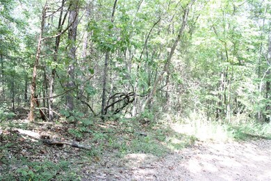 0 Welland Ln, Bella Vista, AR 72715 - photo 6