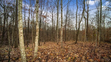 435 Bruemmer Rd, Monroe Township, OH 45144 - photo 6