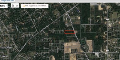 TBD Dobbin-Huffsmith Rd, Magnolia, TX 77354 - photo 2