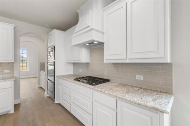 3160 Ferry Boat Ln, Granbury, TX 76049 - photo 5