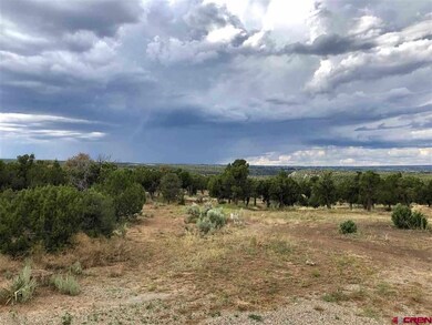 10350 Road 21 9, Cortez, CO 81321 - photo 4