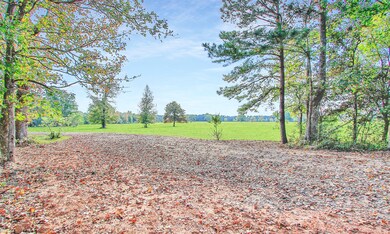 28222 Timber Village Ct, Magnolia, TX 77355 - photo 7