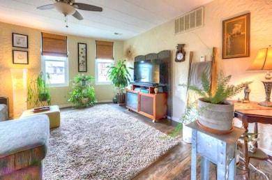 203 E Field St, La Veta, CO 81055 - photo 6