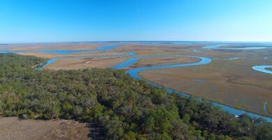 Hird Island looking towards Sapelo Island