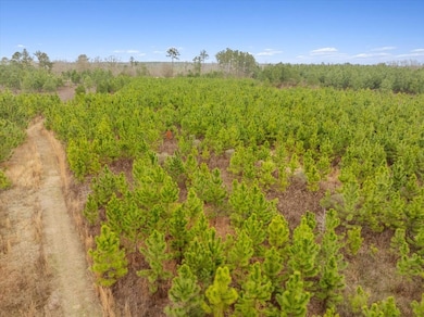 0 Blue Springs Rd unit 138600, Sylvester, GA 31791 - photo 3