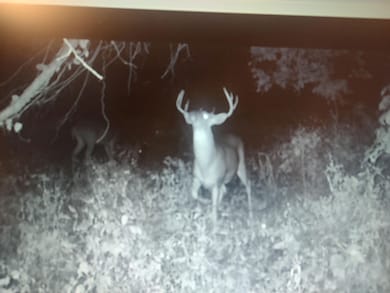 0 Highway 129, Unionville, MO 63535 - photo 7