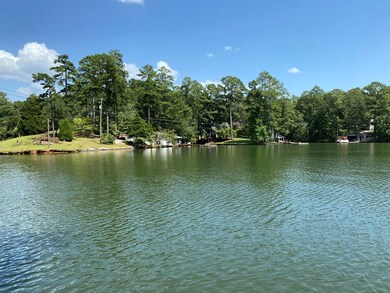 221 Layfield Branch Rd, Hamilton, GA 31811 - photo 4