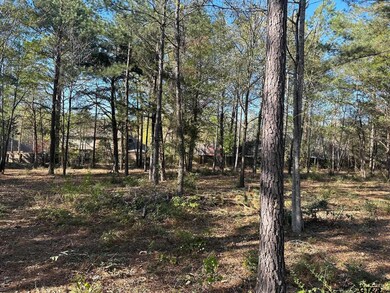 1408 Covewood Dr, Tyler, TX 75703 - photo 5