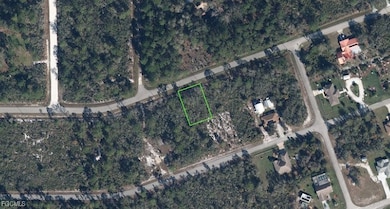 978 Archie Summers Rd, Placid Lakes, FL 33852 - photo 4