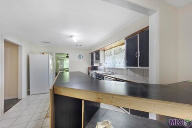 15199 Wendell Bazile Rd, Maurepas, LA 70449 - photo 5