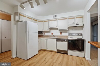 4 Elphin Ct unit 101, Lutherville Timonium, MD 21093 - photo 6