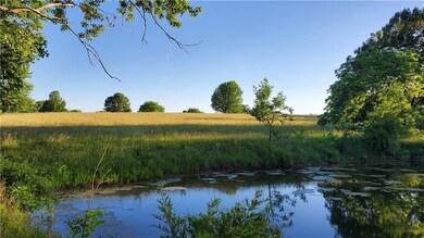 Looking SW over South portion of pond.