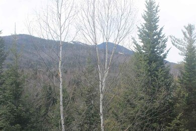 20 Avalanche Way unit 21, Waterville Valley, NH 03215 - photo 3