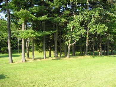 Yard/Garden. Part of the treed lot.