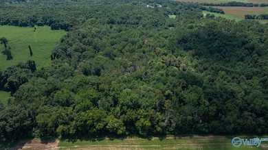 4 Acres Carters Gin Rd, Toney, AL 35773 - photo 7