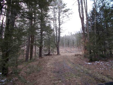 0 Chestnut St unit 4687053, Claremont, NH 03743 - photo 6