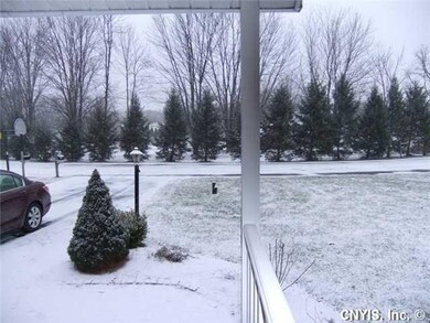 Yard/Garden