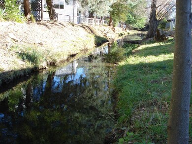 Season Creek/backyard