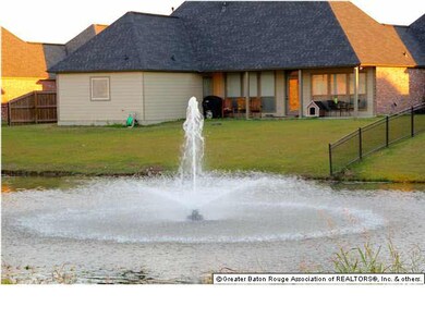Backyard view of Fountain