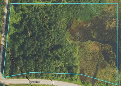 L 7 Thayer Rd & St Hwy 80, Hartwick, NY 13348 - photo 7