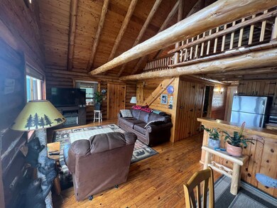 908 Park Ave N, Park Rapids, MN 56470 - photo 5