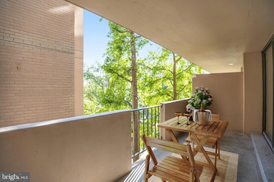 Hyde Park Condominium unit 303, Arlington, VA 22203 - photo 6