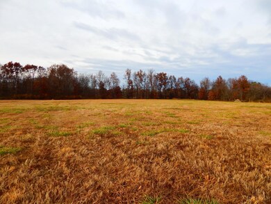 7557 Ohio 132, Blanchester, OH 45107 - photo 5