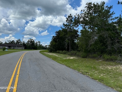 0000 Tippet Dr, Chipley, FL 32428 - photo 3