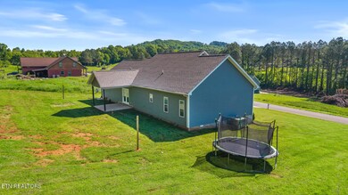 123 Tommy Loop-32