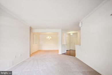 2606 Hoods Mill Ct unit 103, Odenton, MD 21113 - photo 6