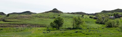 IMG_0794