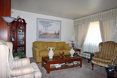 Plush carpet, netural decor