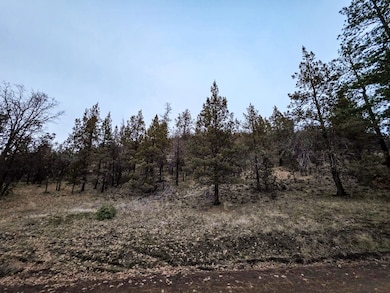 0 Log House Rd, MacDoel, CA 96058 - photo 7