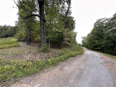 Lot 3 Silver Summit Rd, Eureka Springs, AR 72631 - photo 3