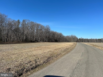 0 Hopeful Church Rd unit VALA2007524, Louisa, VA 23024 - photo 2