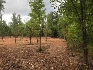 2420 Dennis Rd, Macon, GA 31220 - photo 5