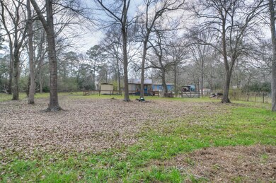 30806 Kate Dr, Magnolia, TX 77355 - photo 6