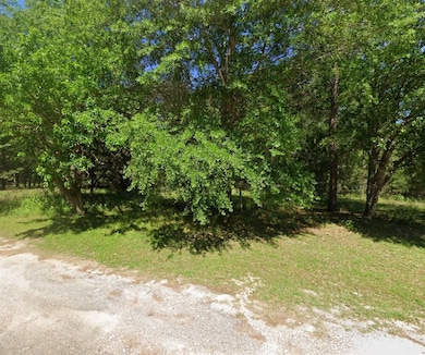 Joe Myers Rd, Livingston, TX 77351 - photo 7