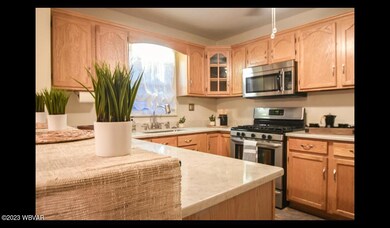 307 Quarry Rd, Muncy, PA 17756 - photo 3