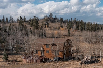 2387 Buffalo Ridge Rd, Como, CO 80432 - photo 3