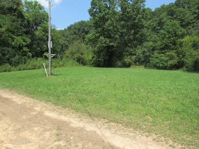 0 Lot 42 & 43 Dailey Loop unit 1849204, Linden, TN 37096 - photo 2