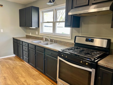 205 N Fleetwood St, Ava, MO 65608 - photo 5