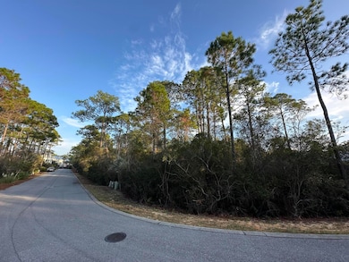 Lot 12 Silver Maple Dr, Rosemary Beach, FL 32413 - photo 4