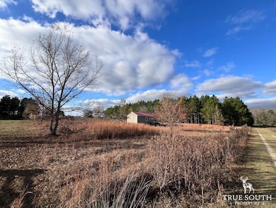 0 Hunters Rd unit 25764201, Sylvania, GA 30467 - photo 5