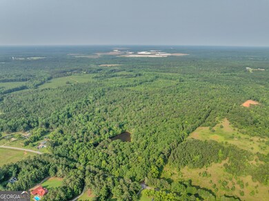 0 County Line Rd unit 10539097, Jenkinsburg, GA 30234 - photo 5