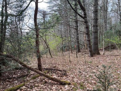 TBD N 5th St, Highlands, NC 28741 - photo 5